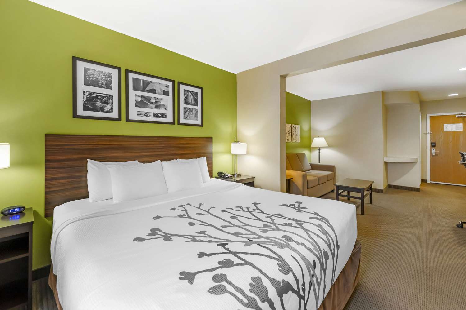 Room, King Bed