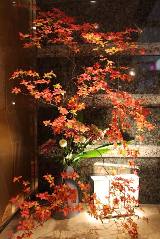HOTEL APiO - Adults Only 45/49
