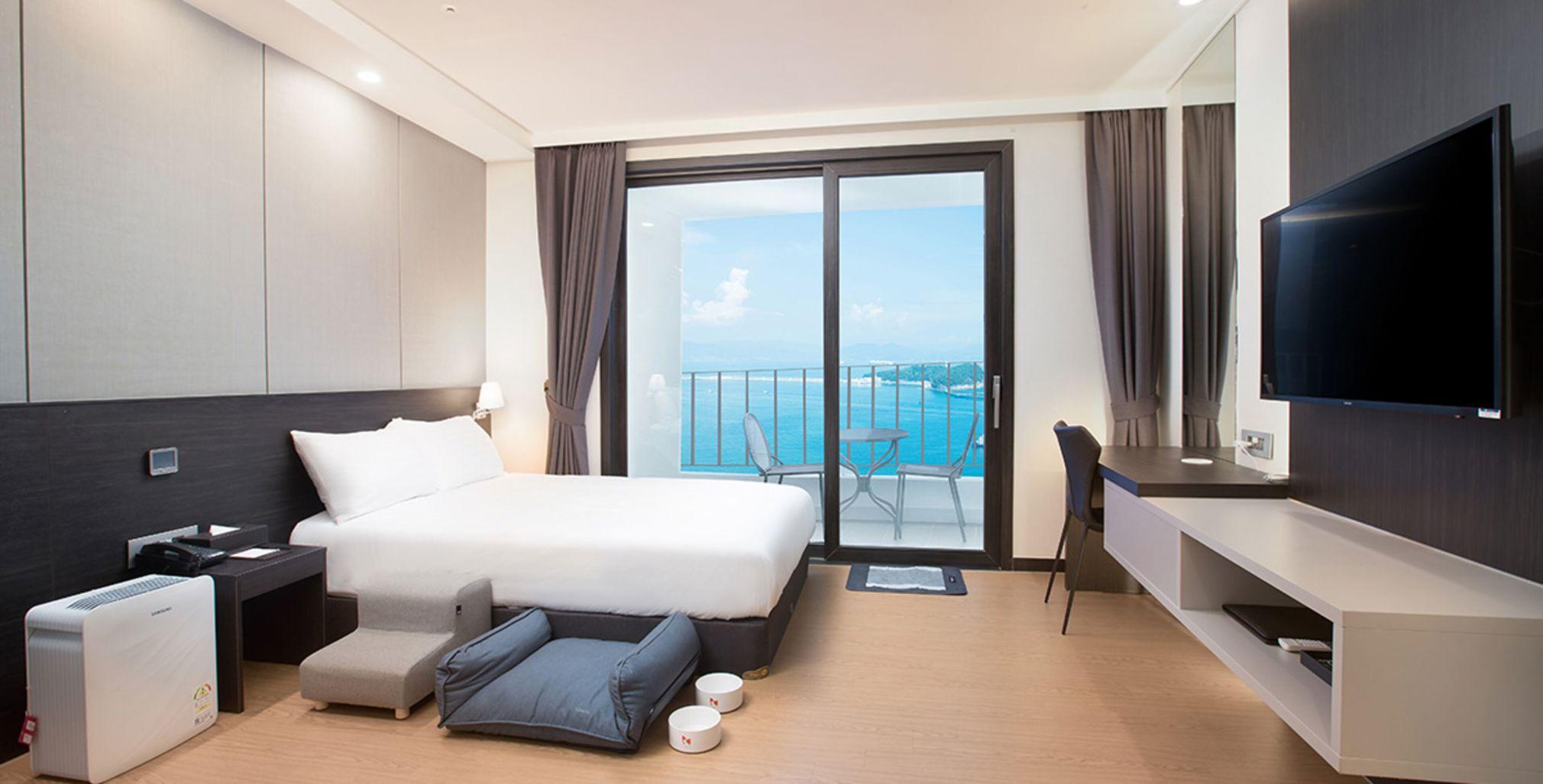 Ocean, Single, King Bed, Pet Friendly