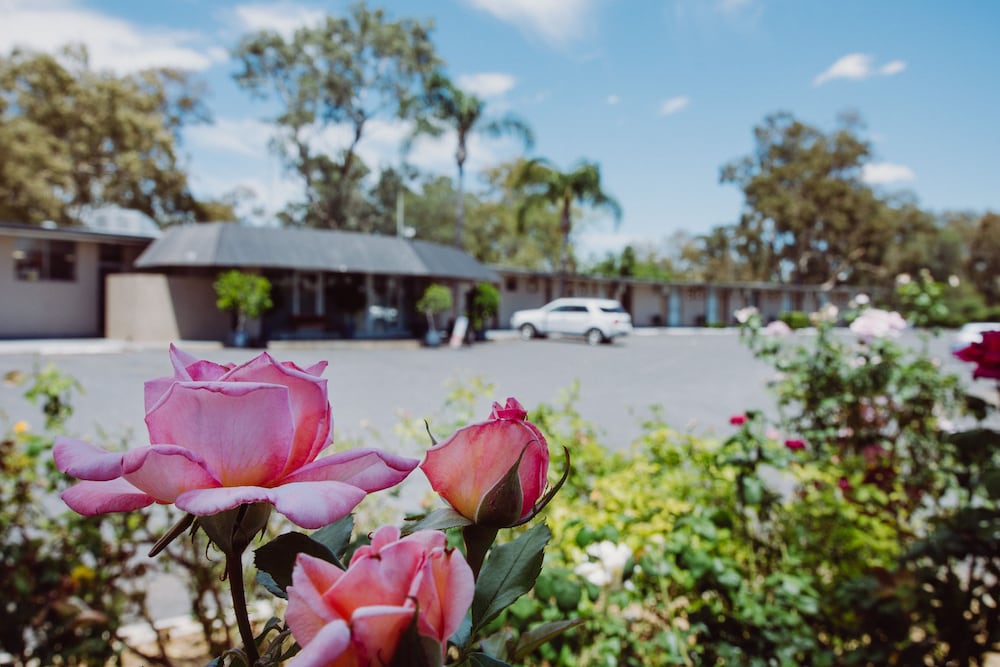 ARTESIAN SPA MOTEL 4/48