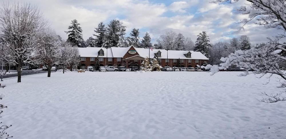 Mountain Inn & Suites Flat Rock 15/53