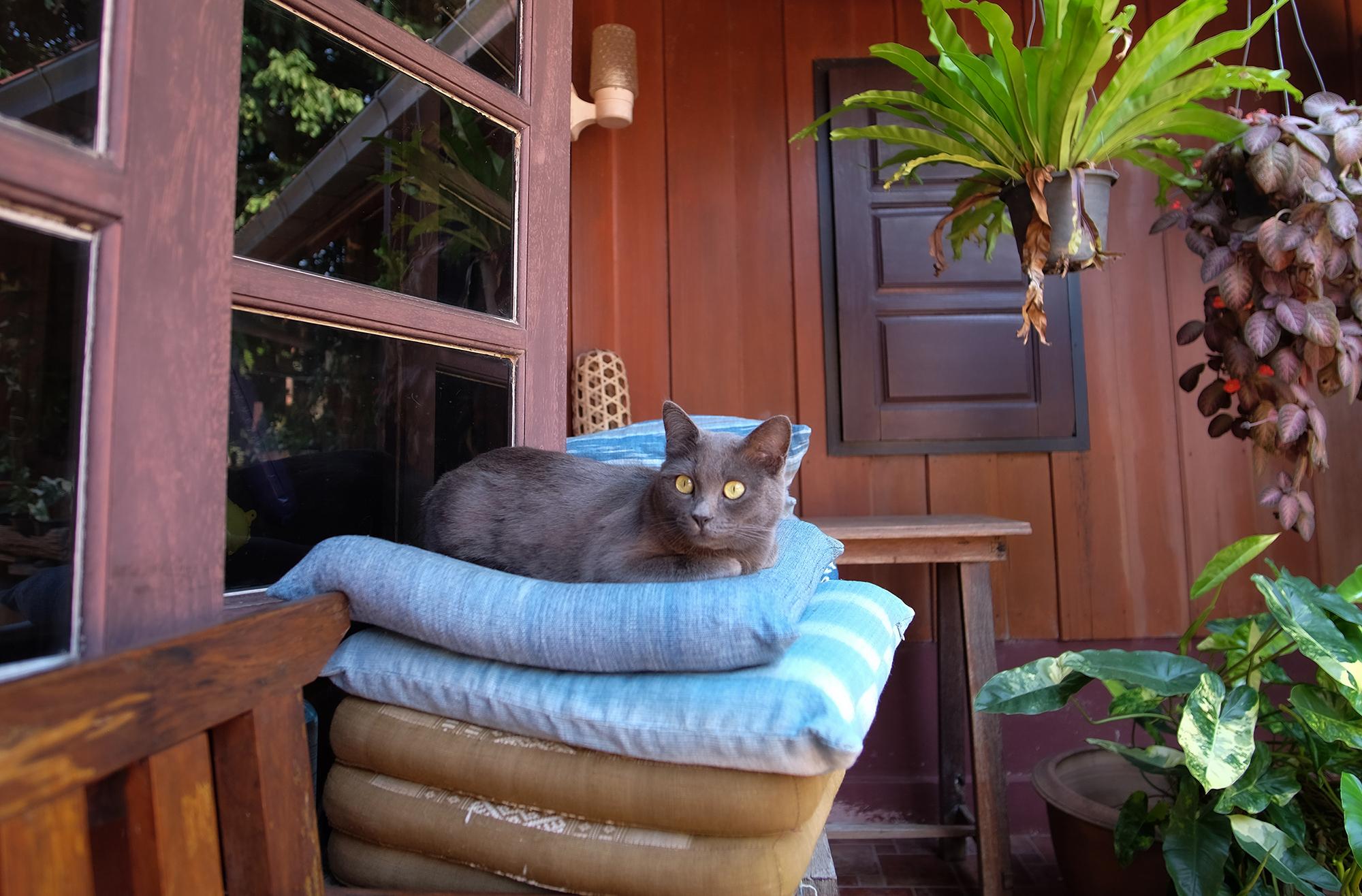 Baan Esan Country House 5/28