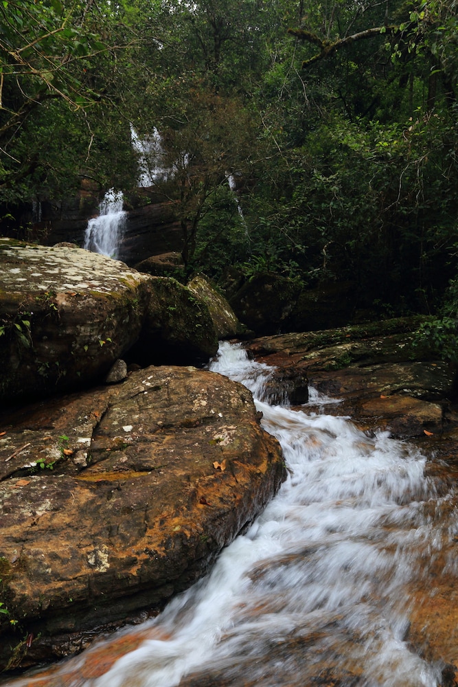 Rainforest Eco Lodge 27/41