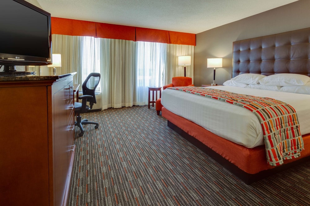 Room, King Bed