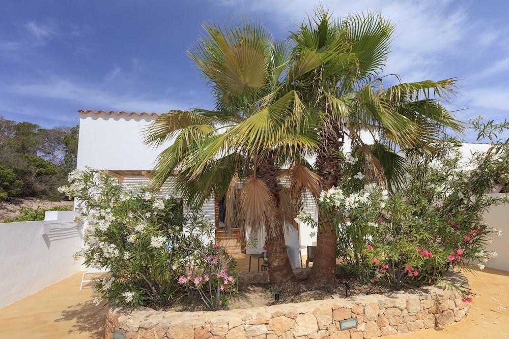 Es Pas Formentera Agroturismo 45/50