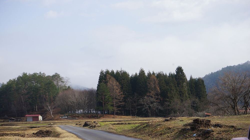 Hotel Kikori 27/50