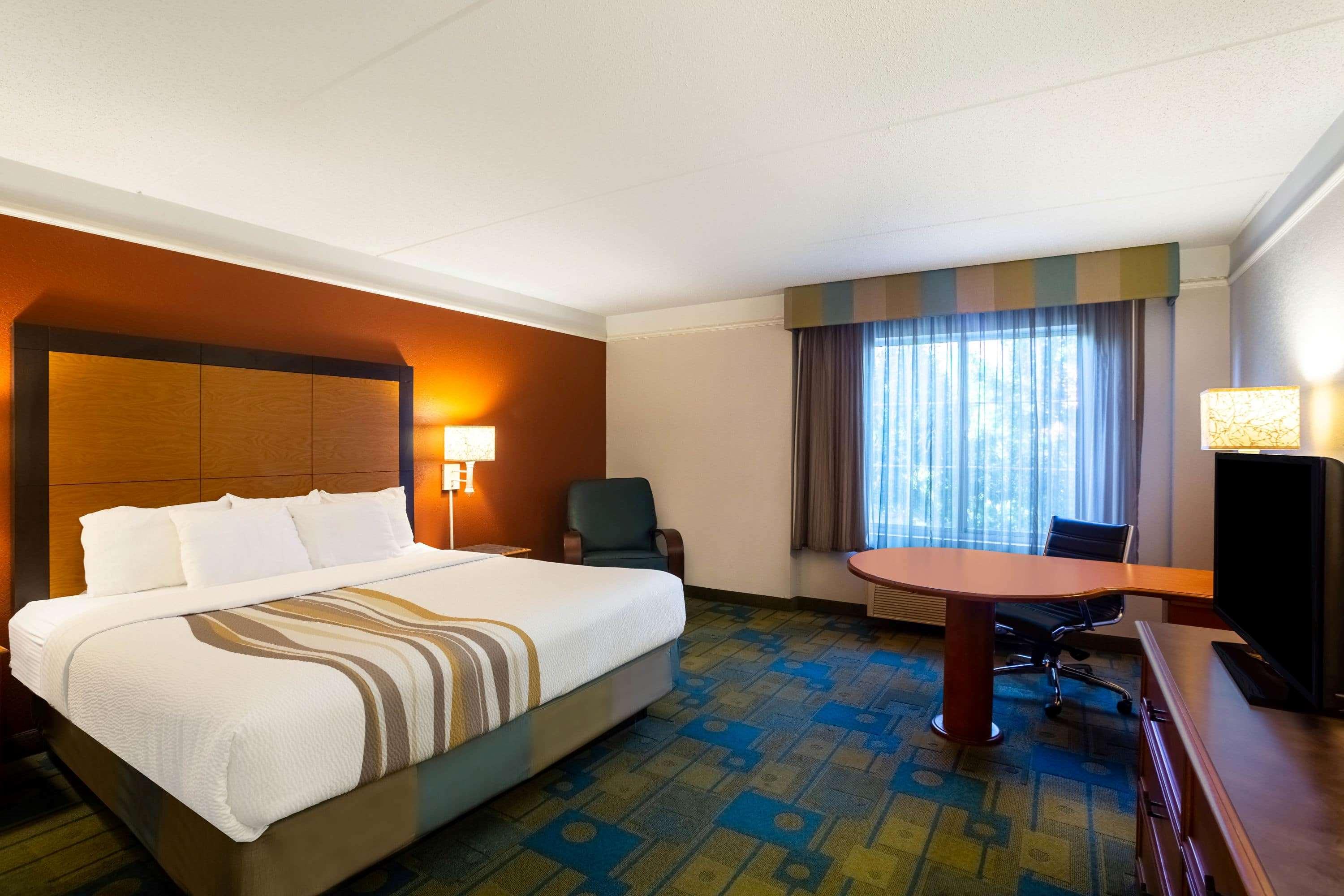 1 King Bed