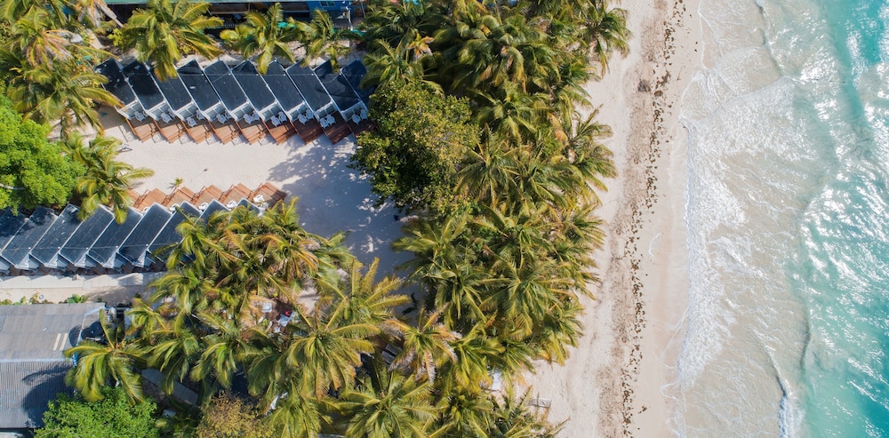 Hotel Reina del Mar By Dorado 41/62