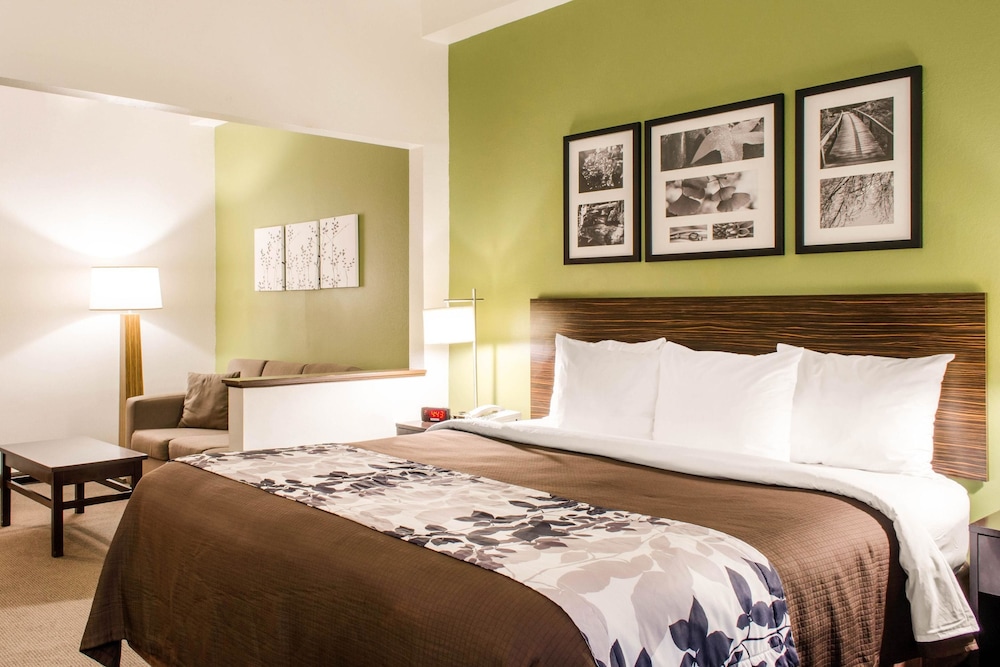 SUITE, QUEEN BED, SOFA, ACCESSIBLE