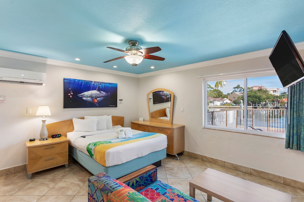 Efficiency, Deluxe, Suite, Futon Bed, Queen Bed, Sofa