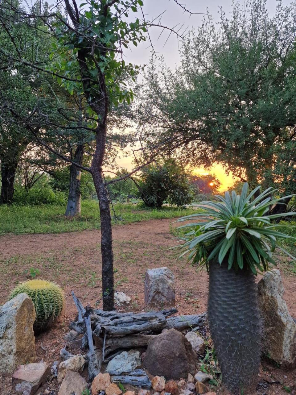 Masorini Bush Lodge 36/50