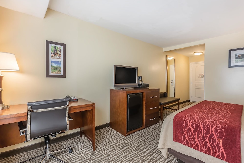 Comfort Inn Pomona near Fairplex 13/46