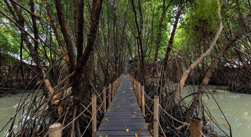 RedDoorz Resort @ Taman Wisata Mangrove 41/46