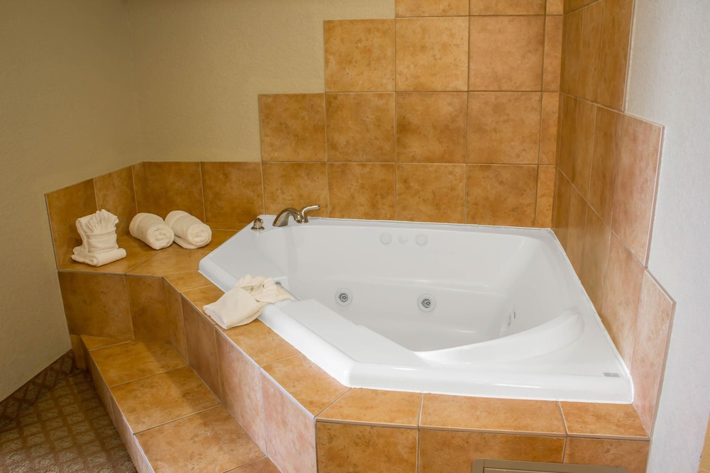 Comfort Suites San Antonio Near Seaworld photo3