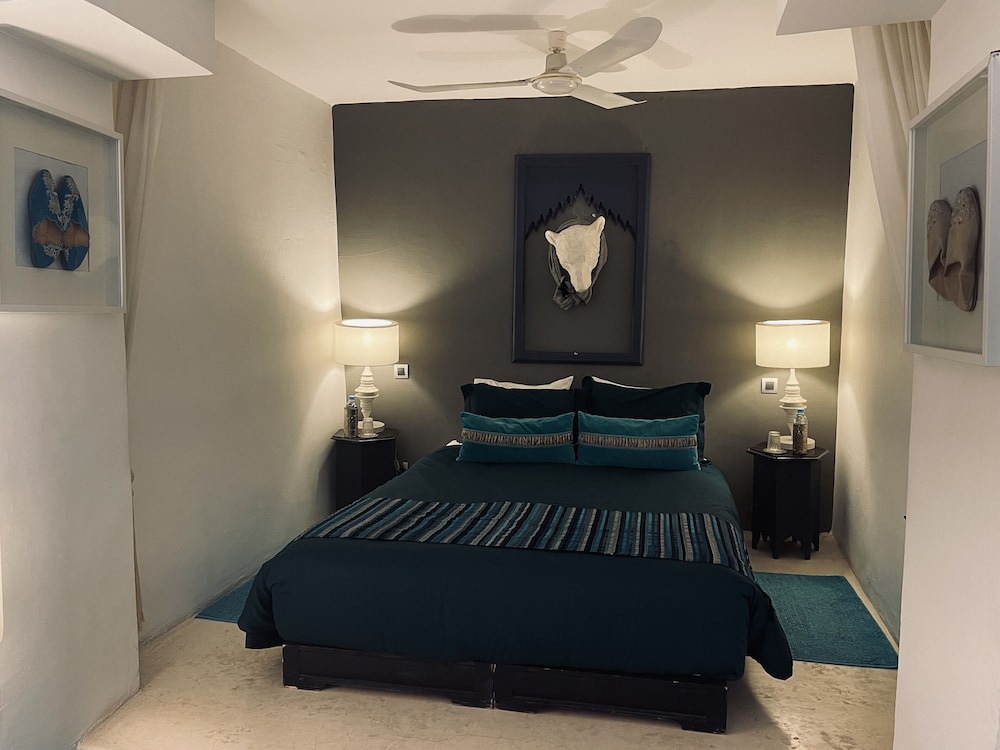 Riad 144 15/50