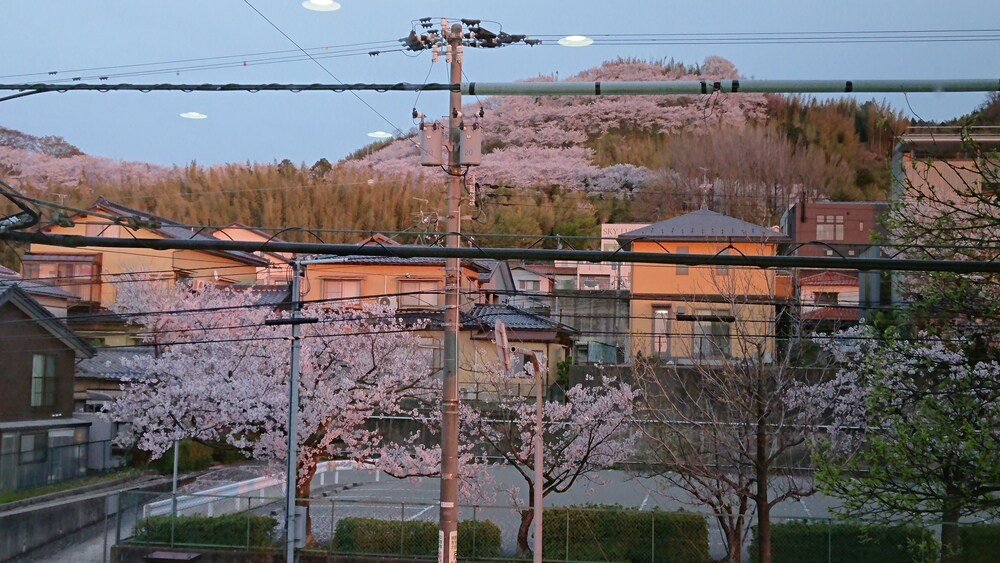 Kanazawaya 27/32
