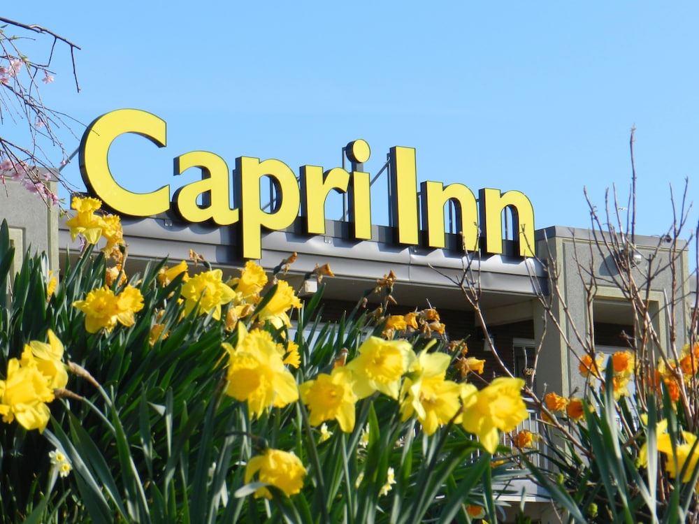 Capri Inn 52/54