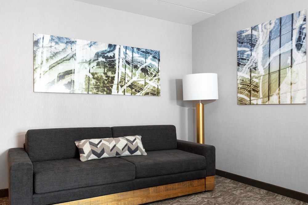 SpringHill Suites by Marriott Durham City View 10/33