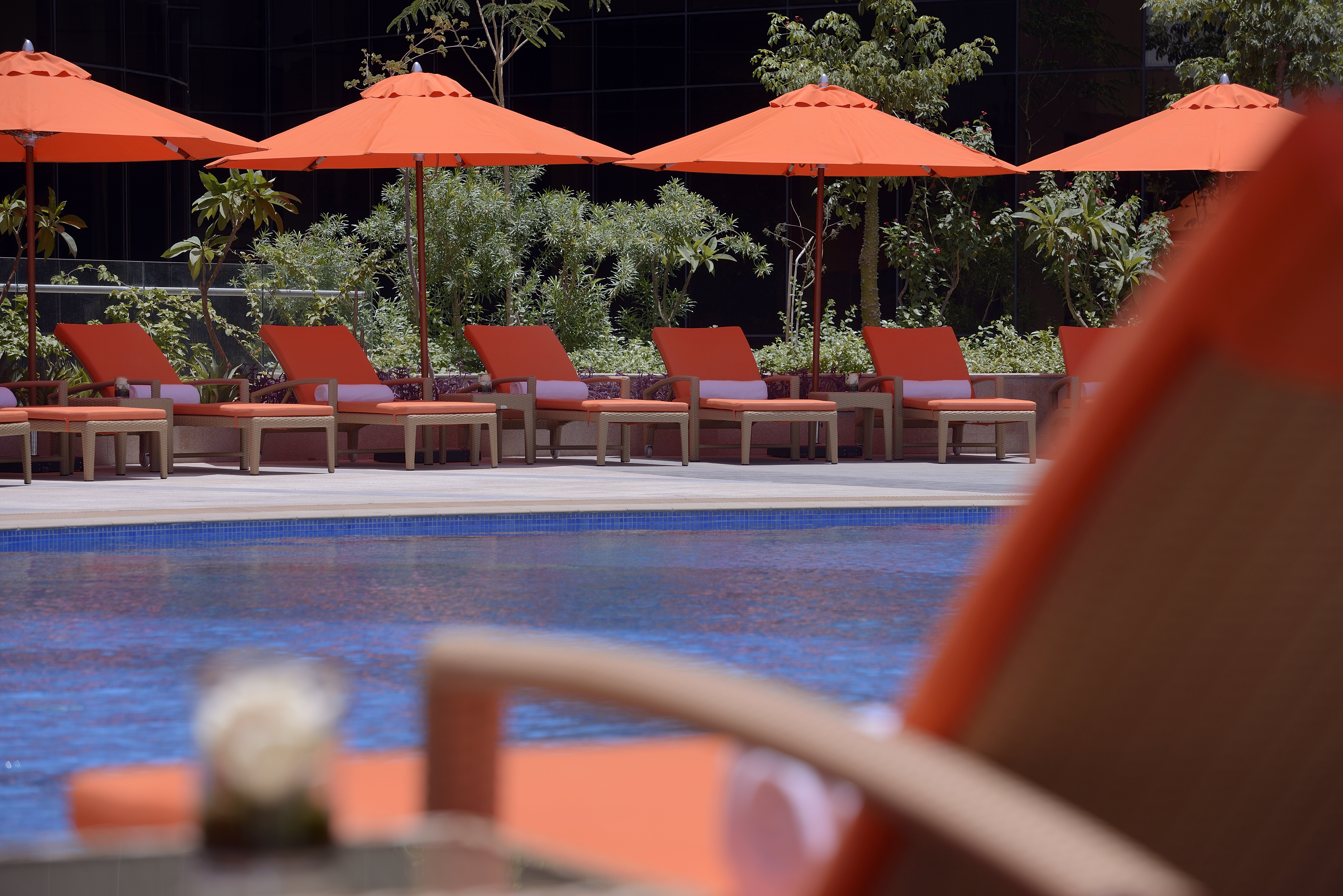 فوكو الرياض(voco Riyadh by IHG) 46/50