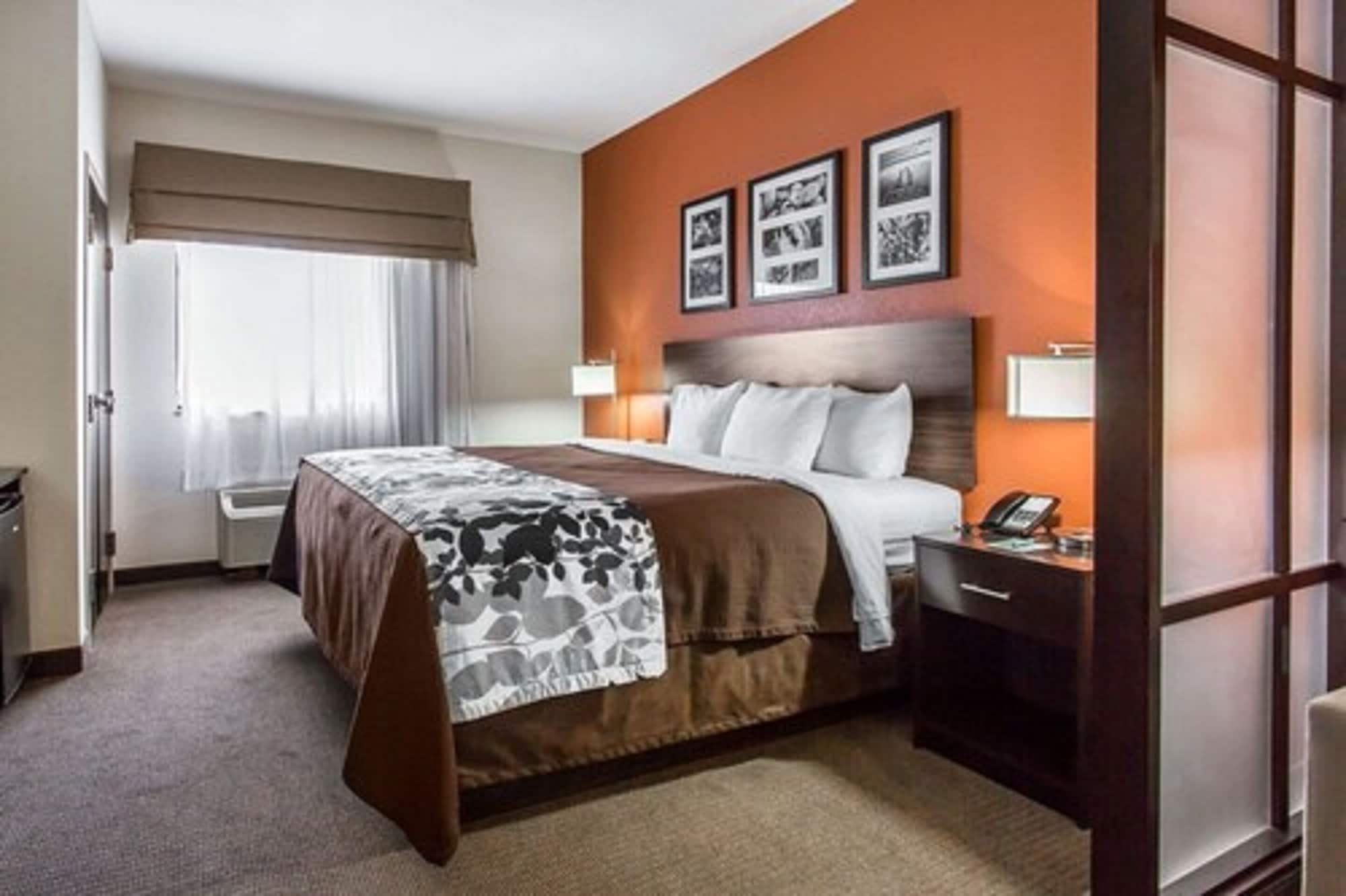 SUITE, KING BED