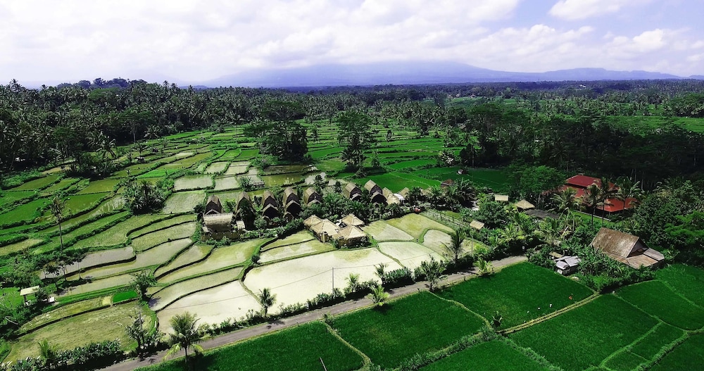 De Klumpu Bali Eco Tradi Stay 27/50