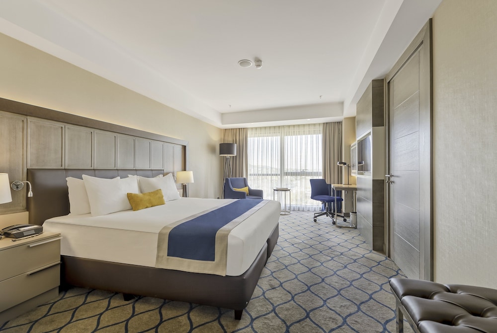 HOLIDAY INN KAYSERI - DUVENONU 23/62