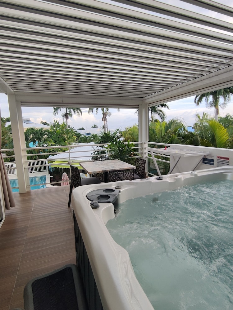 Majesty Palm 24/46