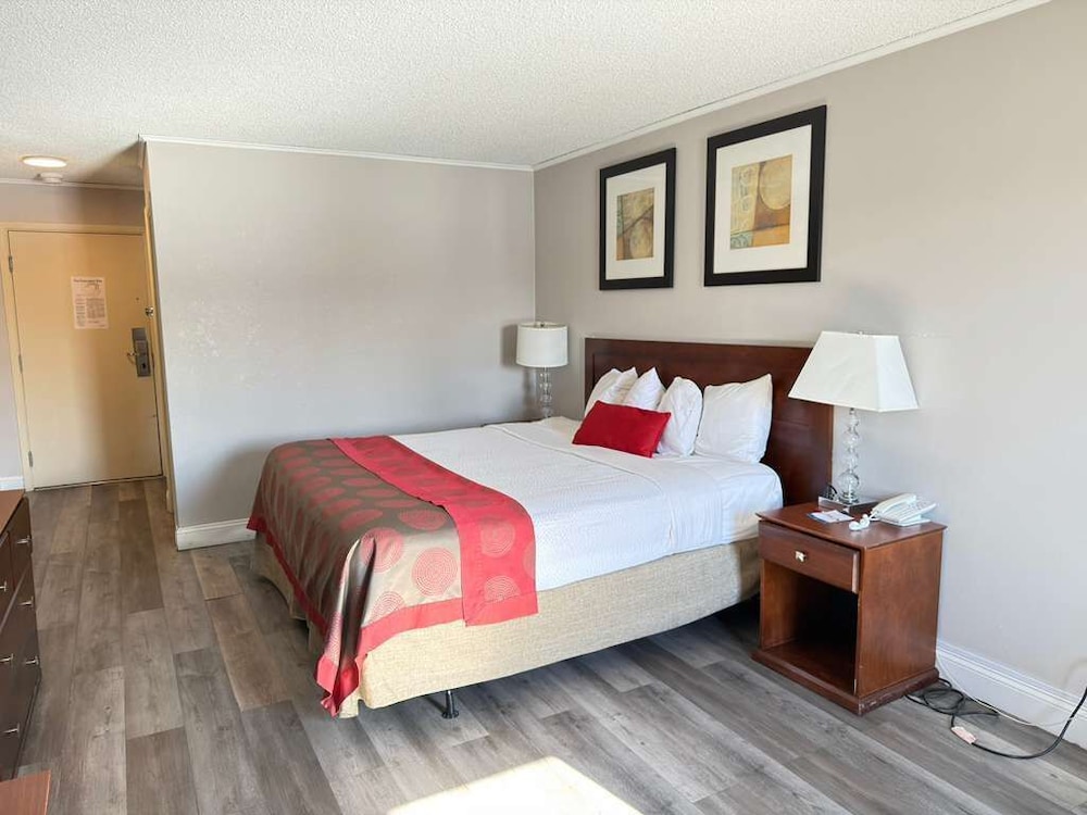 Room, King Bed