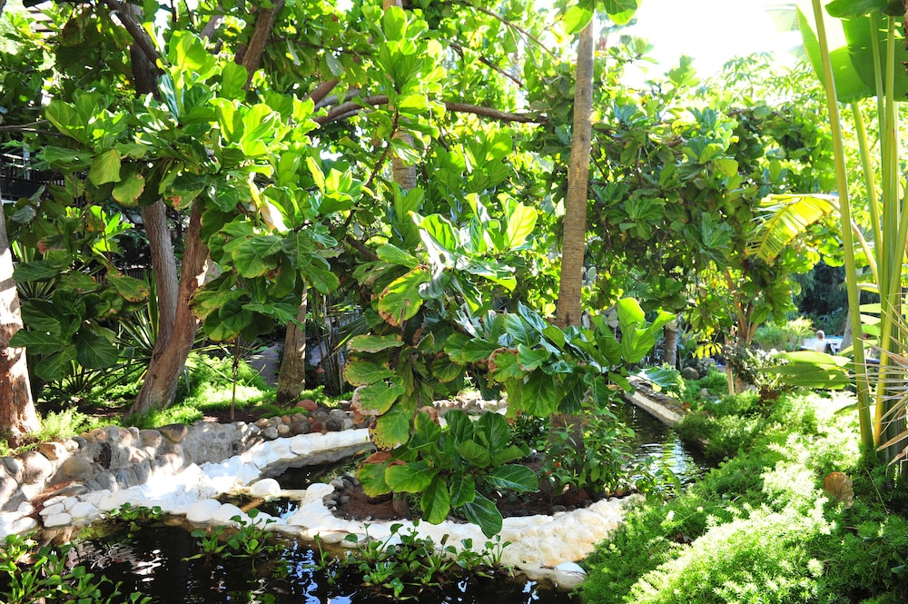 Parque Tropical Hotel photo4