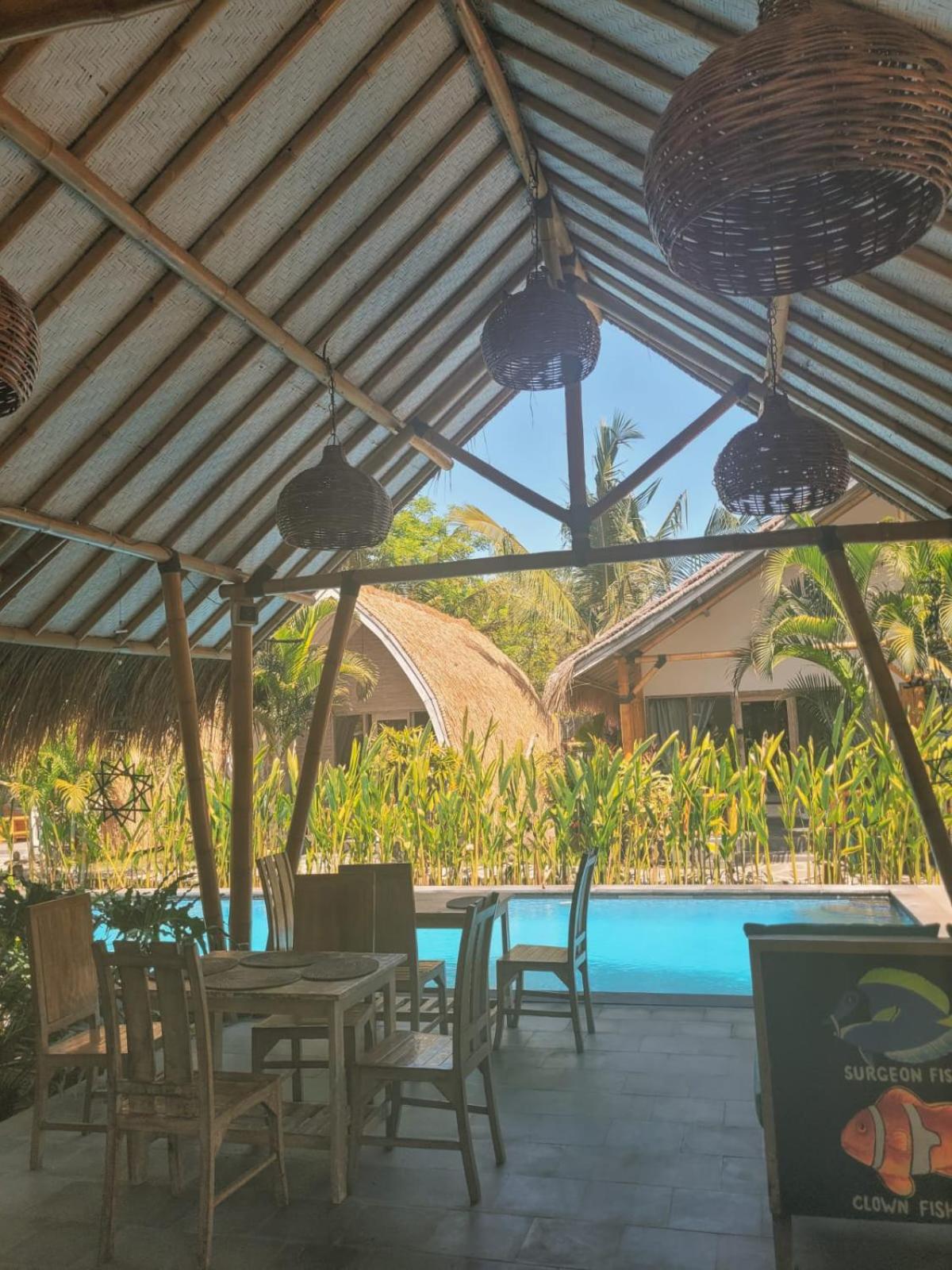 Gili Matiki 38/50