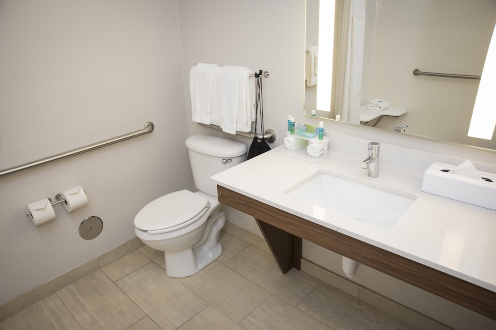 Holiday Inn Express Hotel And Suites Lexington Downtown University 18/47