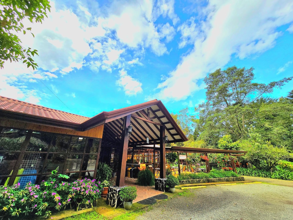 Hotel De Montana Suria 2/50