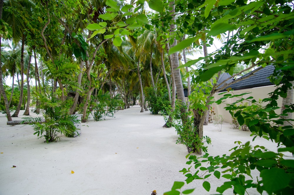 Summer Island Maldives 51/64