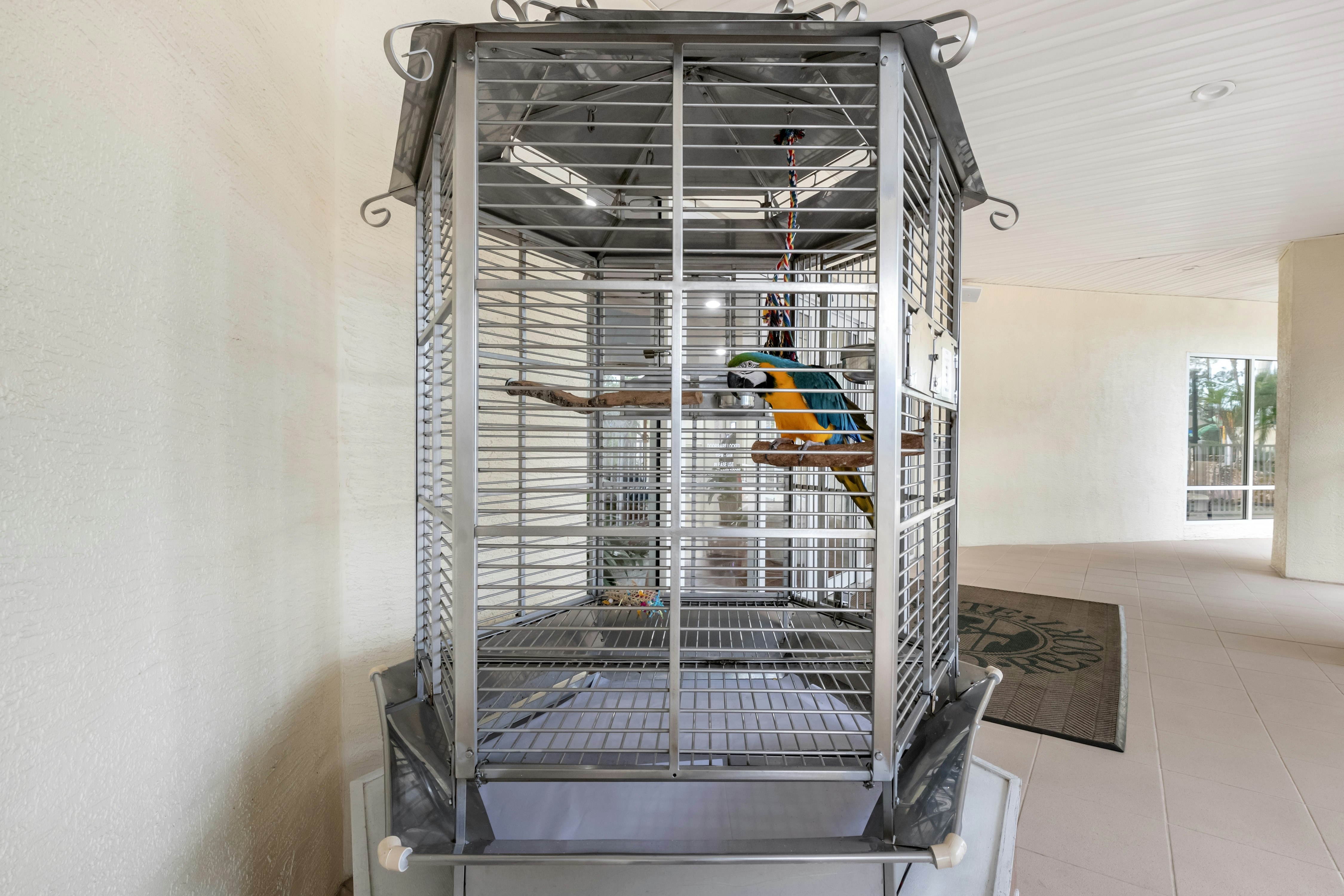 Hilton Vacation Club Cypress Pointe Orlando 12/16