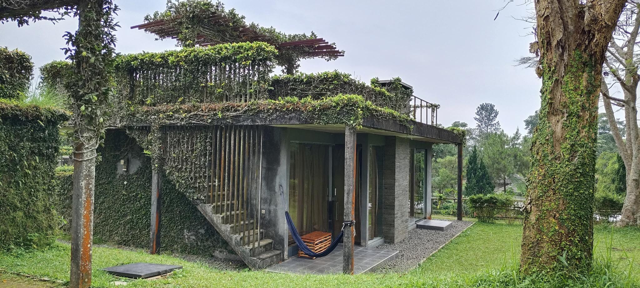 TEA GARDEN RESORT 32/46