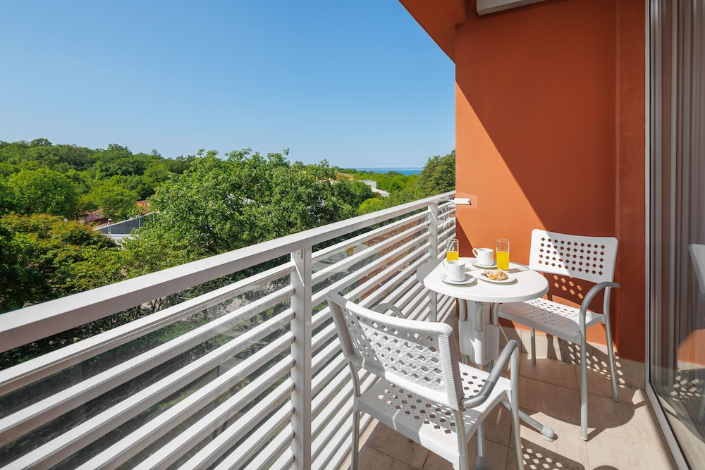 Hotel Albatros Plava Laguna 33/50