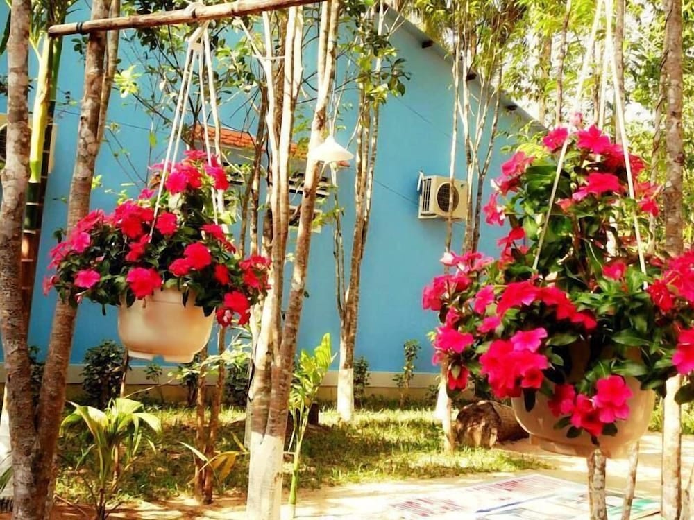 Duc Anh Garden Homestay 40/50