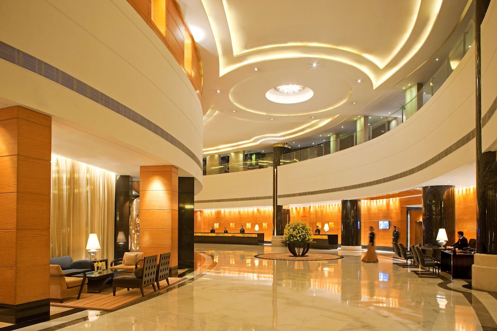 Radisson Blu Plaza Hotel Delhi Airport 6/76