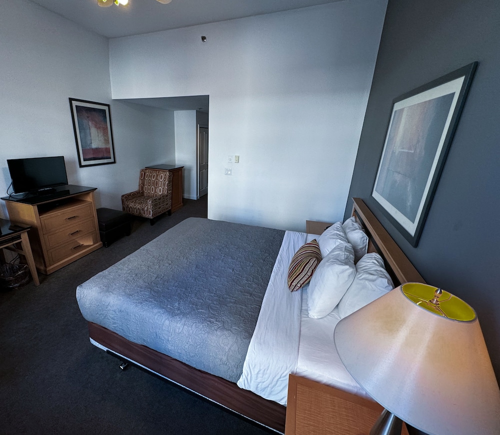 Met Hotel 15/50
