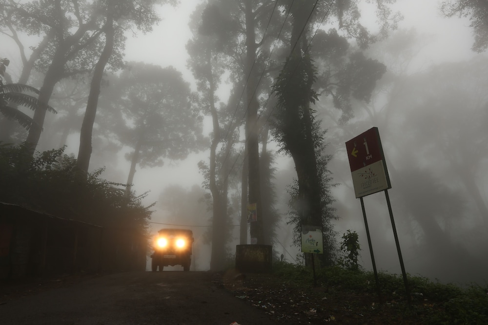 Spice Tree Munnar 46/50