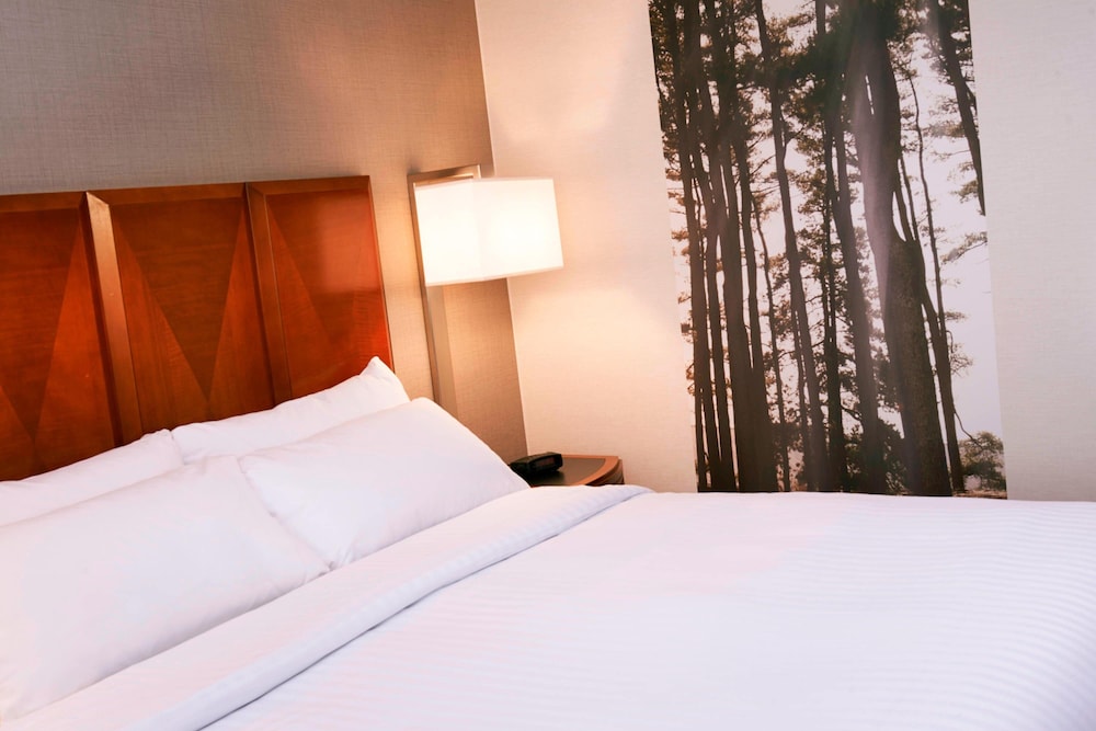 Detroit Metro Airport Marriott 5/47