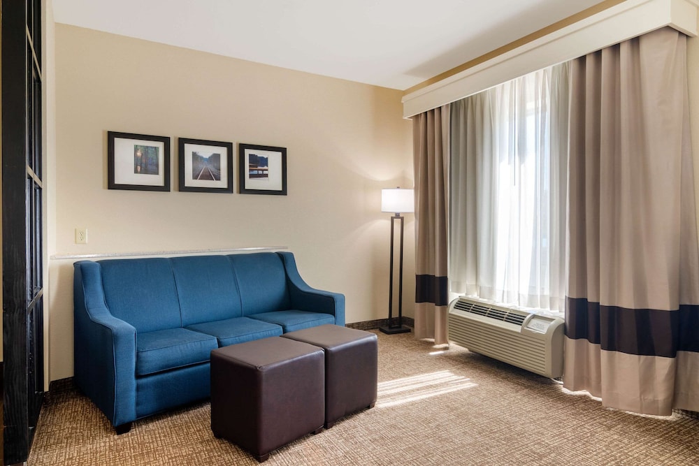 Comfort Suites Byron Warner Robins 29/40