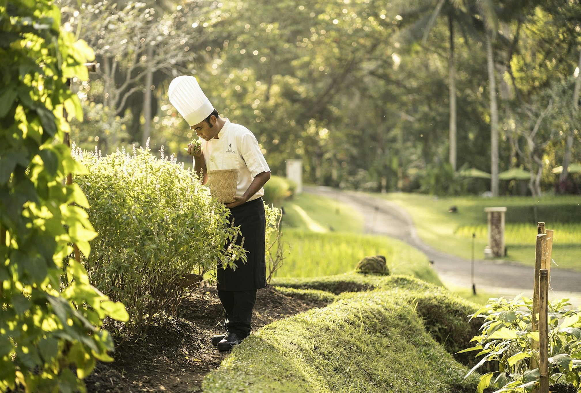 Four Seasons Resort Bali at Sayan 68/84