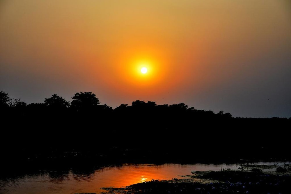 Chitwan Paradise Hotel 28/37