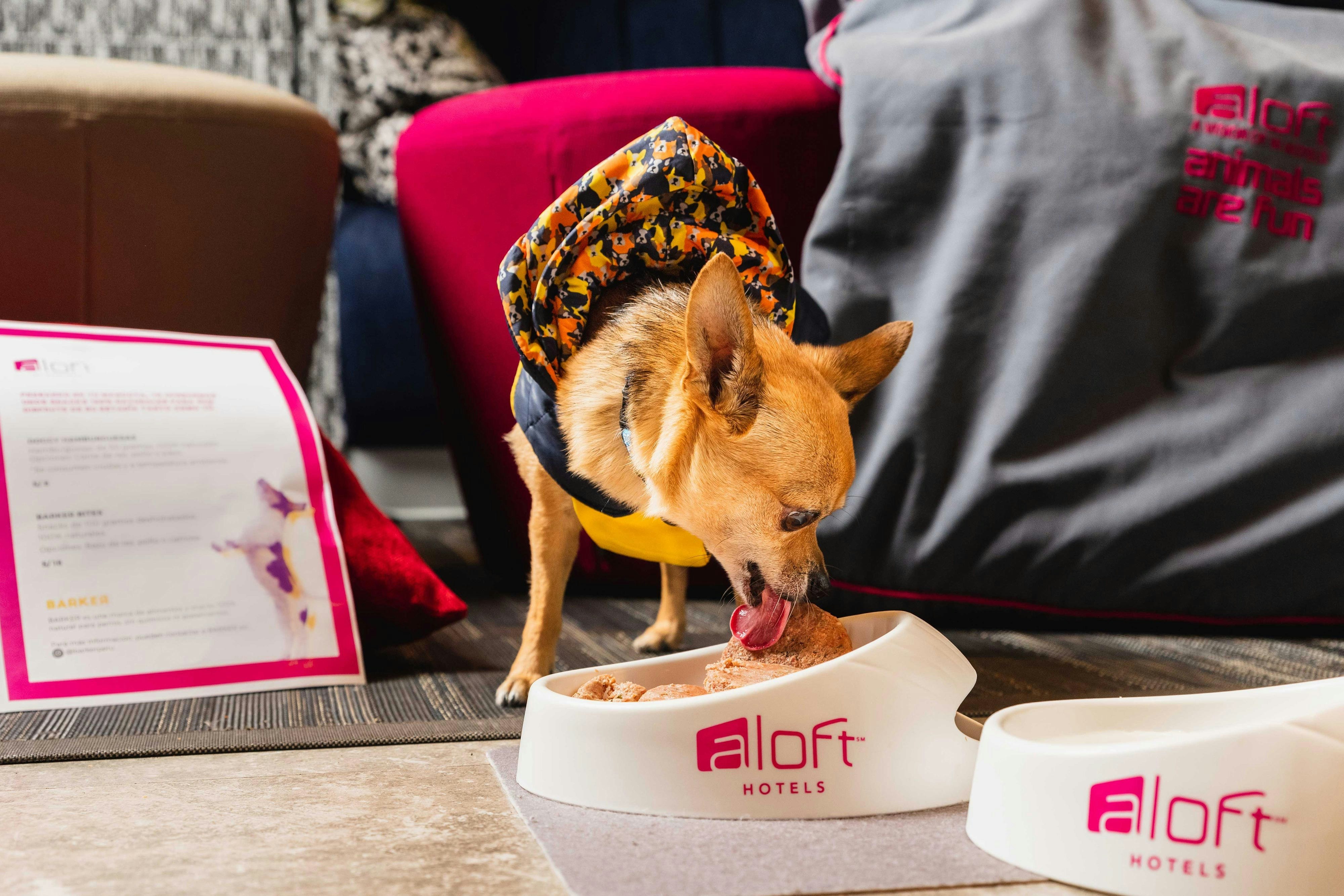 Aloft Lima Miraflores 16/45