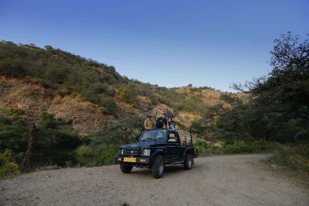 Ranthambhore Heritage Haveli 32/41