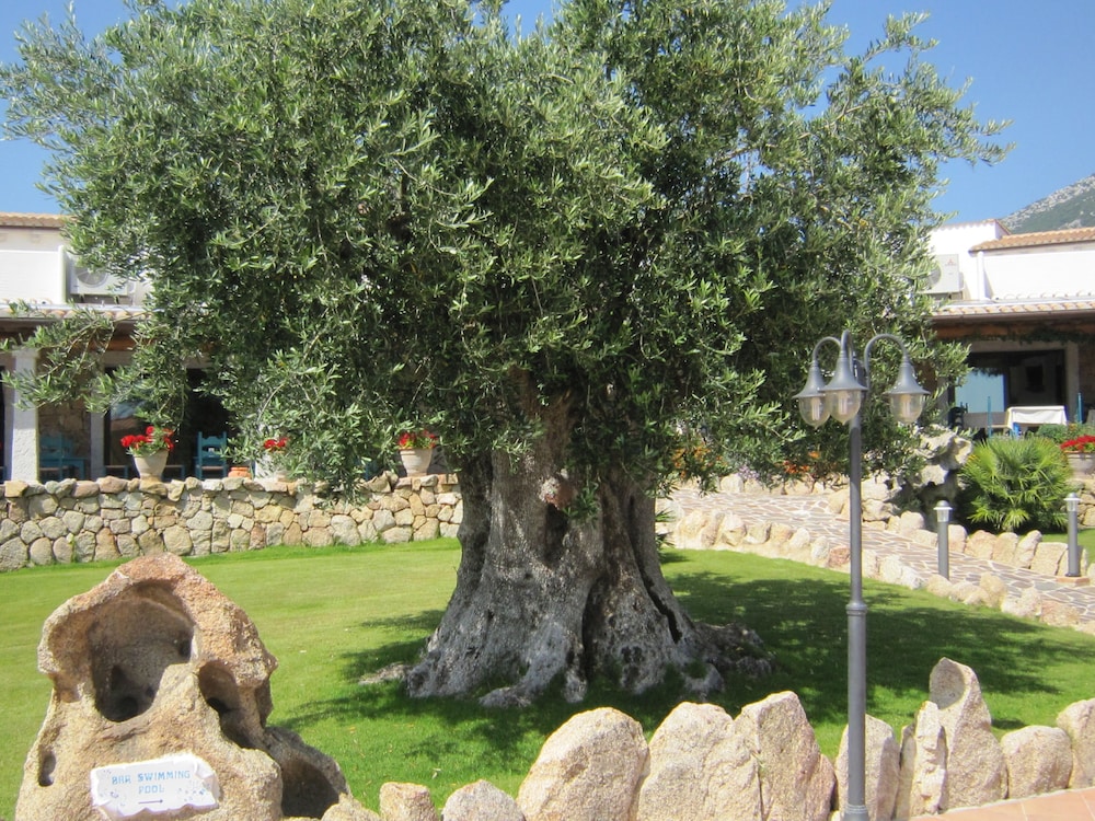 surroundings