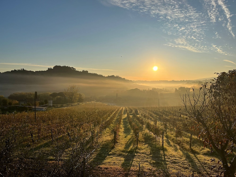 Tenuta Sovestro 35/50