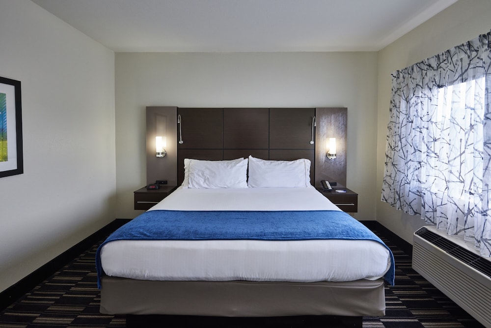 Holiday Inn Express Suites Birmingham South Pelham 12/52