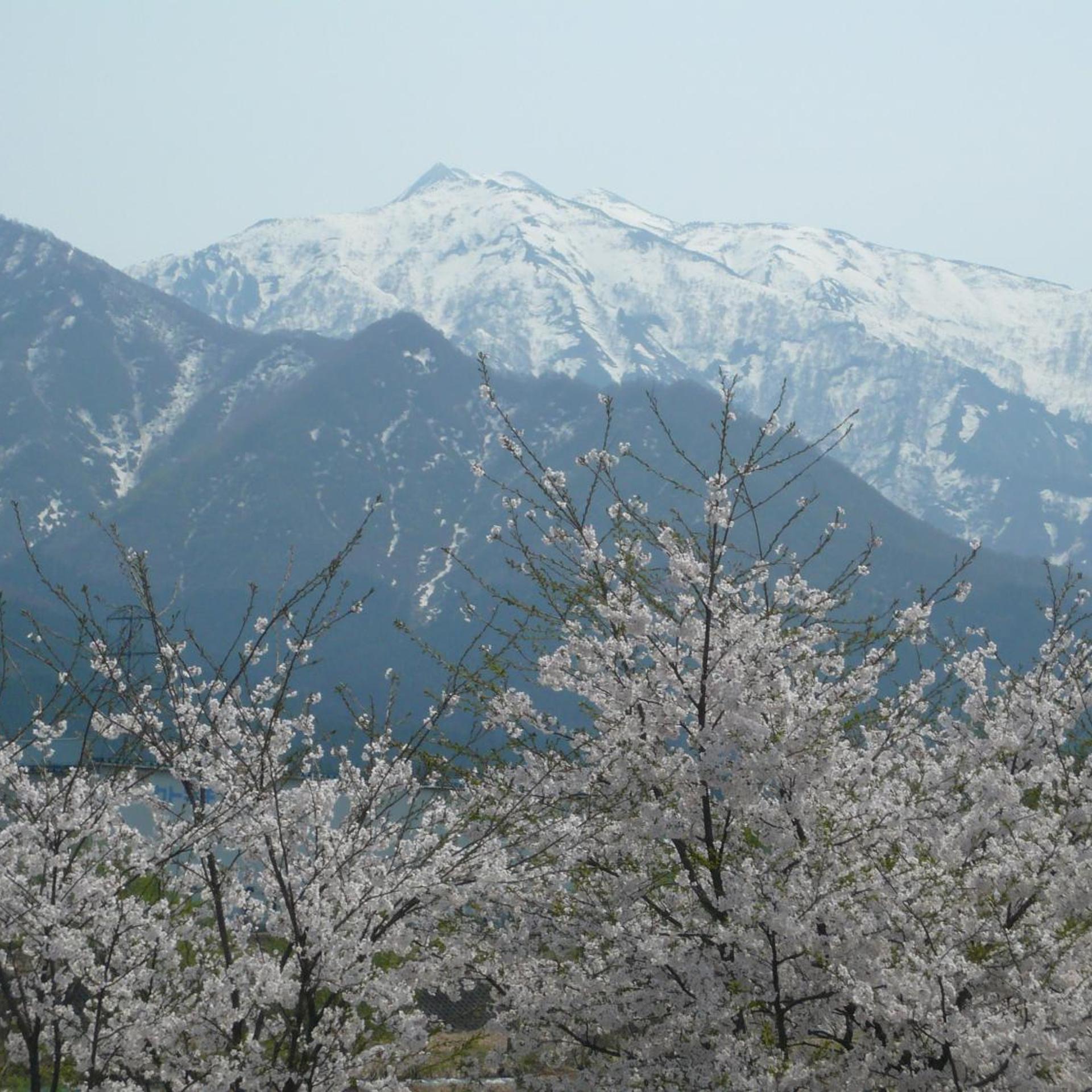 Maruyama Onsen Kojyokan 47/55